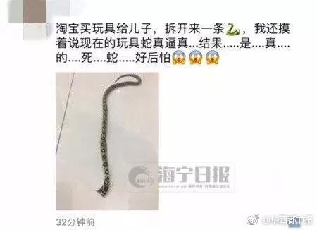 囧哥:官方发糖!用了20年毛利兰终于成为柯南女朋友 囧哥:官方发糖!用了20年毛利兰终于成为柯南女朋友图片