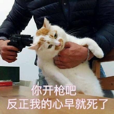 囧哥:官方发糖!用了20年毛利兰终于成为柯南女朋友 囧哥:官方发糖!用了20年毛利兰终于成为柯南女朋友图片