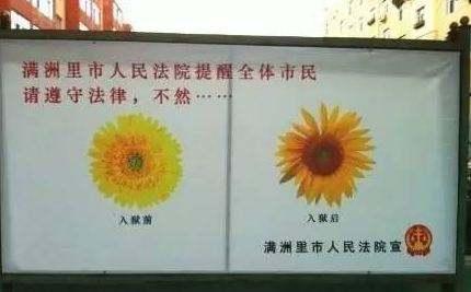 囧哥:我秦始皇打钱!手机掉兵马俑坑 导游称成文物了 囧哥:我秦始皇打钱!手机掉兵马俑坑 导游称成文物了图片