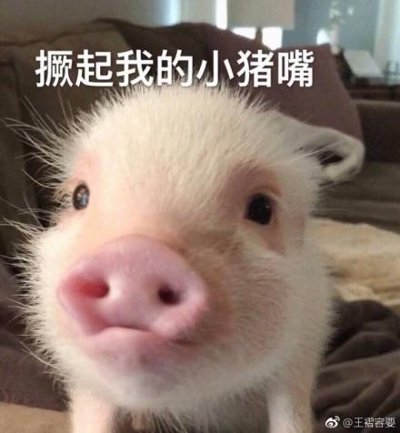 囧哥:我秦始皇打钱!手机掉兵马俑坑 导游称成文物了 囧哥:我秦始皇打钱!手机掉兵马俑坑 导游称成文物了图片