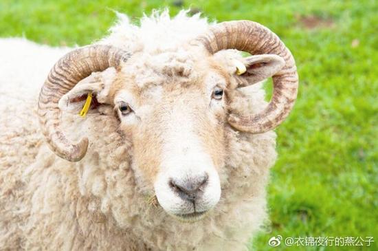囧哥:支持!学者称不应取消十一黄金周应恢复五一长假 囧哥:支持!学者称不应取消十一黄金周应恢复五一长假图片