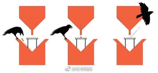 囧哥:找到原因了!诺贝尔医学奖发现熬夜令人变丑变笨 囧哥:找到原因了!诺贝尔医学奖发现熬夜令人变丑变笨图片