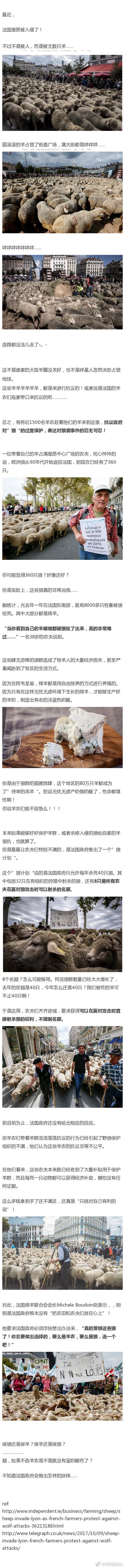 囧哥:王者荣耀都开培训班了,只需8天带你青铜上王者 囧哥:王者荣耀都开培训班了,只需8天带你青铜上王者图片