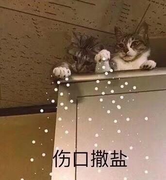 囧哥:王者荣耀都开培训班了,只需8天带你青铜上王者 囧哥:王者荣耀都开培训班了,只需8天带你青铜上王者图片