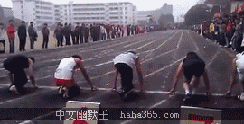 囧哥:热心市民冒台风移树清理路面 走近一看是周润发 囧哥:热心市民冒台风移树清理路面 走近一看是周润发图片