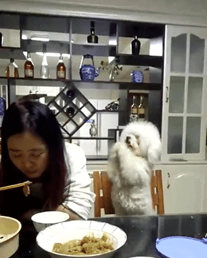 囧哥:2017离婚数据 出轨率最高职业是IT男和全职妈妈 囧哥:2017离婚数据 出轨率最高职业是IT男和全职妈妈图片