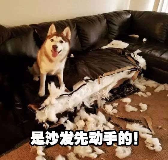 囧哥:考虑过人家女孩子的感受吗!新生孩取名王者荣耀 囧哥:考虑过人家女孩子的感受吗!新生孩取名王者荣耀图片