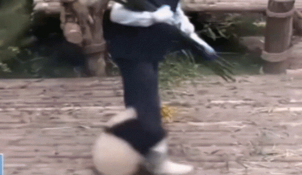 囧哥:考虑过人家女孩子的感受吗!新生孩取名王者荣耀 囧哥:考虑过人家女孩子的感受吗!新生孩取名王者荣耀图片
