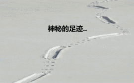 囧哥午间版:果断买!钱没真的花了是以另一种方式陪你 囧哥午间版:果断买!钱没真的花了是以另一种方式陪你图片