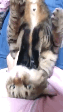 囧哥说事151129:神父深夜赚钱竟是为了它