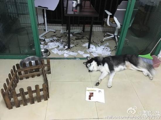 囧哥说事161001