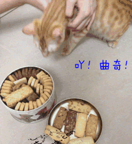 囧哥说事161001