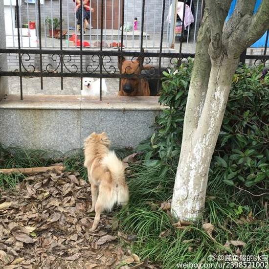 什么忘返的成语_成语故事图片