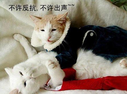 囧哥说事:女生不上床被下岗!雇主回应:微信撩不算性骚扰 囧哥说事:女生不上床被下岗!雇主回应:微信撩不算性骚扰图片