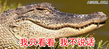 囧哥说事:张嘉佳有梁朝伟把柄?《摆渡人》3.7分被吐槽疯 囧哥说事:张嘉佳有梁朝伟把柄?《摆渡人》3.7分被吐槽疯图片