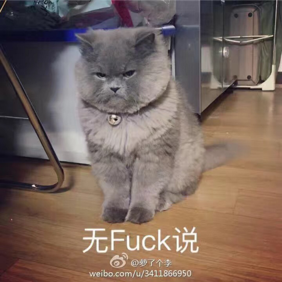 囧哥说事:新年一到 推特众网友庆贺地球2017岁生日 囧哥说事:新年一到 推特众网友庆贺地球2017岁生日图片