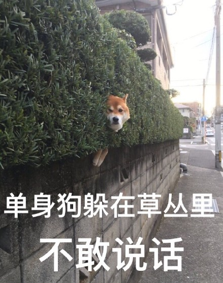 囧哥说事:大学期末考停电,学生们开手机闪光灯答完试卷 囧哥说事:大学期末考停电,学生们开手机闪光灯答完试卷图片