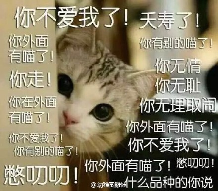 囧哥说事:防催婚新招!提前买机票吃完年夜饭就出国旅游 囧哥说事:防催婚新招!提前买机票吃完年夜饭就出国旅游图片