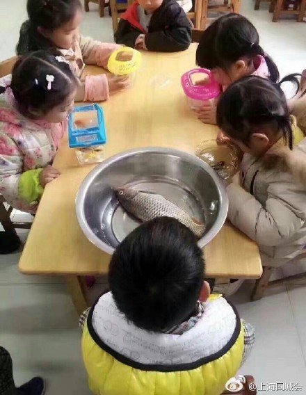 囧哥说事:防催婚新招!提前买机票吃完年夜饭就出国旅游 囧哥说事:防催婚新招!提前买机票吃完年夜饭就出国旅游图片