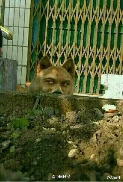 囧哥说事:婚恋调研 男最不能忍拜金女,女最不能忍铁公鸡 囧哥说事:婚恋调研 男最不能忍拜金女,女最不能忍铁公鸡图片