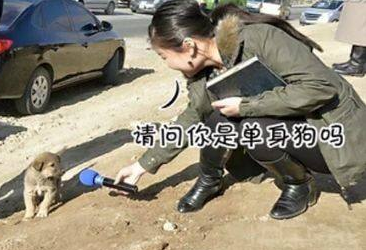 囧哥说事:专家说高考选择题太多,学渣说那别考英语吧 囧哥说事:专家说高考选择题太多,学渣说那别考英语吧图片