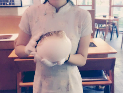 囧哥午间版:冒菜和麻辣烫有区别?不辣的叫关东煮 囧哥午间版:冒菜和麻辣烫有区别?不辣的叫关东煮图片