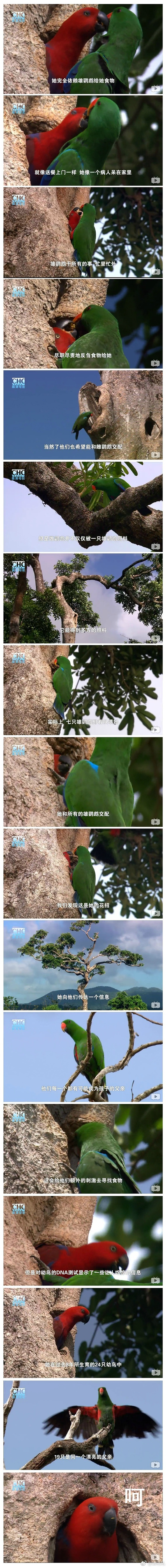 囧哥午间版:冒菜和麻辣烫有区别?不辣的叫关东煮 囧哥午间版:冒菜和麻辣烫有区别?不辣的叫关东煮图片
