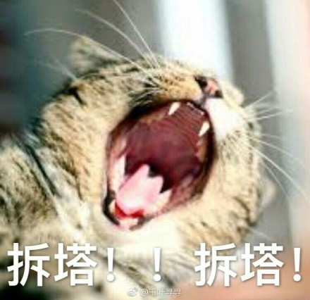 囧哥午间版:坚强点,最起码你还招蚊子喜欢 囧哥午间版:坚强点,最起码你还招蚊子喜欢图片