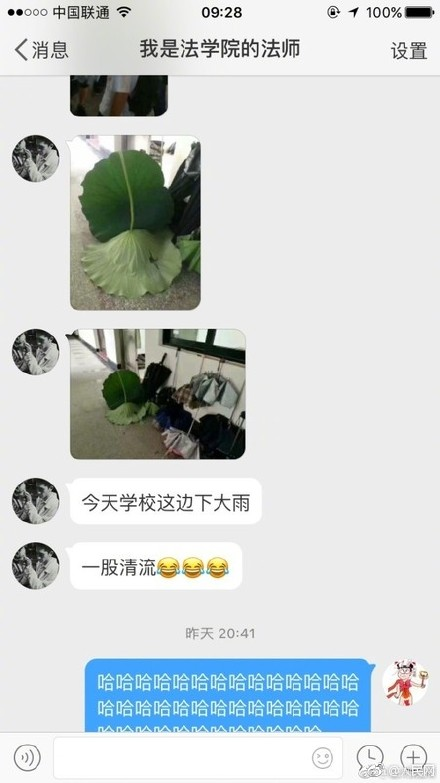 囧哥午间版:坚强点,最起码你还招蚊子喜欢 囧哥午间版:坚强点,最起码你还招蚊子喜欢图片