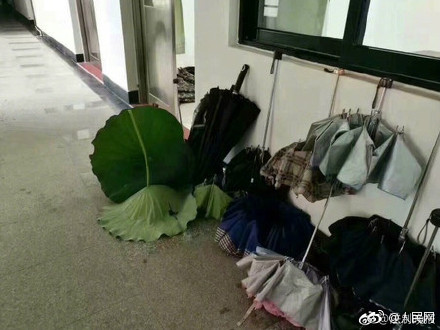囧哥午间版:坚强点,最起码你还招蚊子喜欢 囧哥午间版:坚强点,最起码你还招蚊子喜欢图片