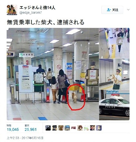 囧哥午间版:坚强点,最起码你还招蚊子喜欢 囧哥午间版:坚强点,最起码你还招蚊子喜欢图片