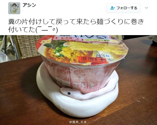 囧哥午间版:这广告照片谁拍的 以为千玺在摸王俊凯… 囧哥午间版:这广告照片谁拍的 以为千玺在摸王俊凯…图片