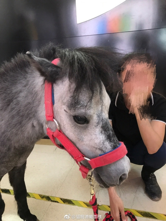 囧哥午间版:这广告照片谁拍的 以为千玺在摸王俊凯… 囧哥午间版:这广告照片谁拍的 以为千玺在摸王俊凯…图片