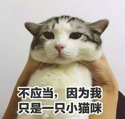 m-eX-fyfkzhs9508093.png