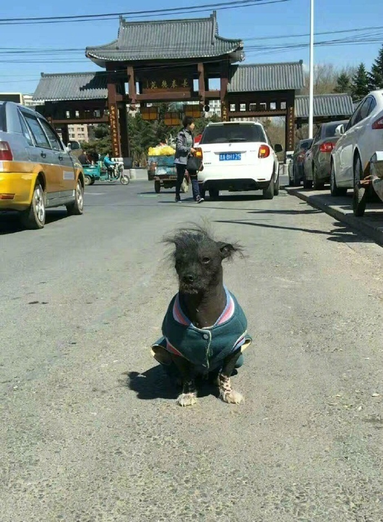 囧哥:孙中山听了想打人!中山大学被翻译成双鸭