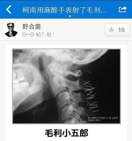 囧哥午间版:猪精日常!管不住嘴迈不开腿,躺床上纳闷怎么变美 囧哥午间版:猪精日常!管不住嘴迈不开腿,躺床上纳闷怎么变美图片