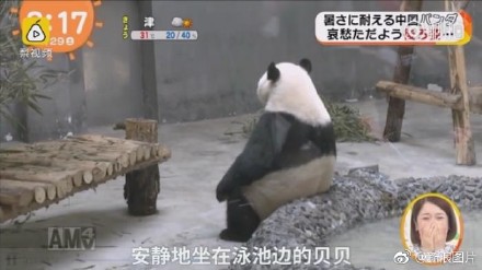囧哥:锅从天降! 大妈怒怼cos女孩“我孙女就是被你们带坏的” 囧哥:锅从天降! 大妈怒怼cos女孩“我孙女就是被你们带坏的”图片