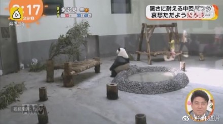 囧哥:锅从天降! 大妈怒怼cos女孩“我孙女就是被你们带坏的” 囧哥:锅从天降! 大妈怒怼cos女孩“我孙女就是被你们带坏的”图片