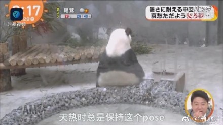 囧哥:锅从天降! 大妈怒怼cos女孩“我孙女就是被你们带坏的” 囧哥:锅从天降! 大妈怒怼cos女孩“我孙女就是被你们带坏的”图片
