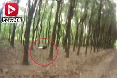 囧哥:可惜王柏川没赶上!共享宝马出现 以后没人买蓝宝马了 囧哥:可惜王柏川没赶上!共享宝马出现 以后没人买蓝宝马了图片