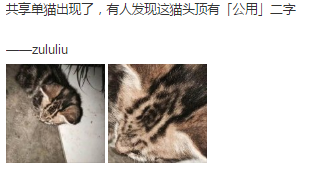囧哥:现代商业! 共享遛娃车上海现身 售价88，押金99图片