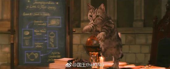囧哥午间版:胖子为啥胖?你说减肥ta居然怕有副作用 囧哥午间版:胖子为啥胖?你说减肥ta居然怕有副作用图片