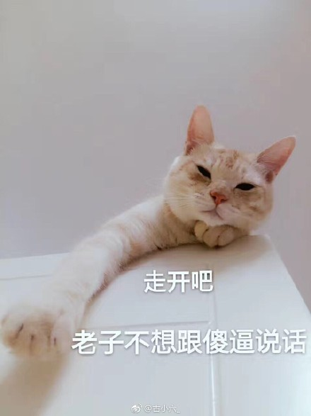 囧哥午间版:男性中年危机三大特征 盘串儿出轨保温杯 囧哥午间版:男性中年危机三大特征 盘串儿出轨保温杯图片