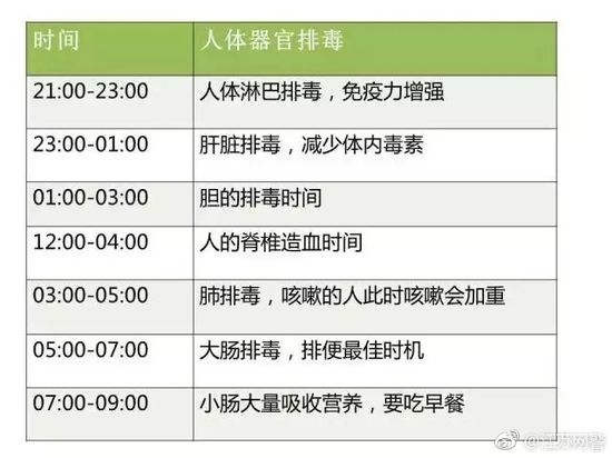 囧哥:妈你看到了吗!专家辟谣人体并没有排毒时间表 囧哥:妈你看到了吗!专家辟谣人体并没有排毒时间表图片
