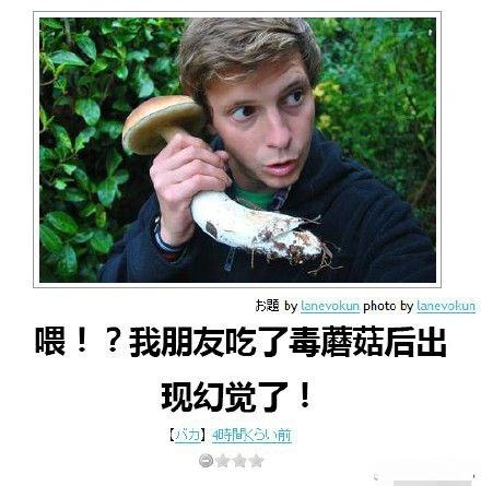 囧哥:妈你看到了吗!专家辟谣人体并没有排毒时间表 囧哥:妈你看到了吗!专家辟谣人体并没有排毒时间表图片