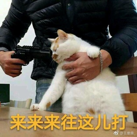 囧哥:七夕礼物大赛她赢了!称男友给买了一个公墓的坑 囧哥:七夕礼物大赛她赢了!称男友给买了一个公墓的坑图片