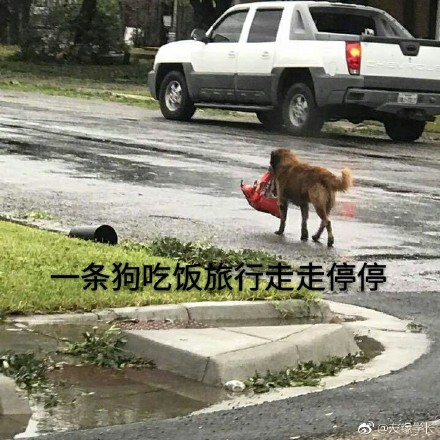 囧哥:七夕礼物大赛她赢了!称男友给买了一个公墓的坑 囧哥:七夕礼物大赛她赢了!称男友给买了一个公墓的坑图片