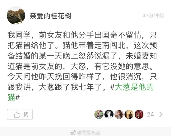 囧哥午间版 囧哥午间版图片