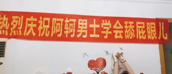 囧哥午间版 囧哥午间版图片
