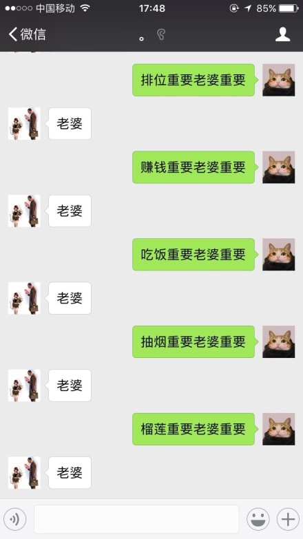 囧哥午间版 囧哥午间版图片